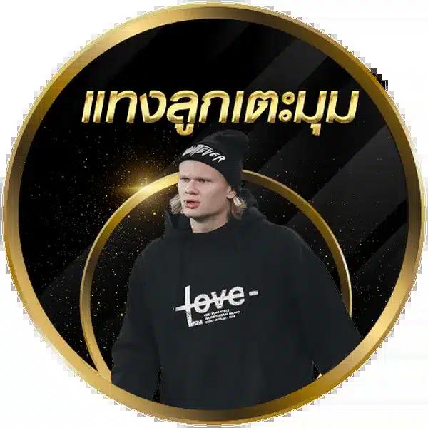 NextSpin สล็อต เว็บใหม่ล่าสุด รวมความสนุกทุกเวลาในไทย